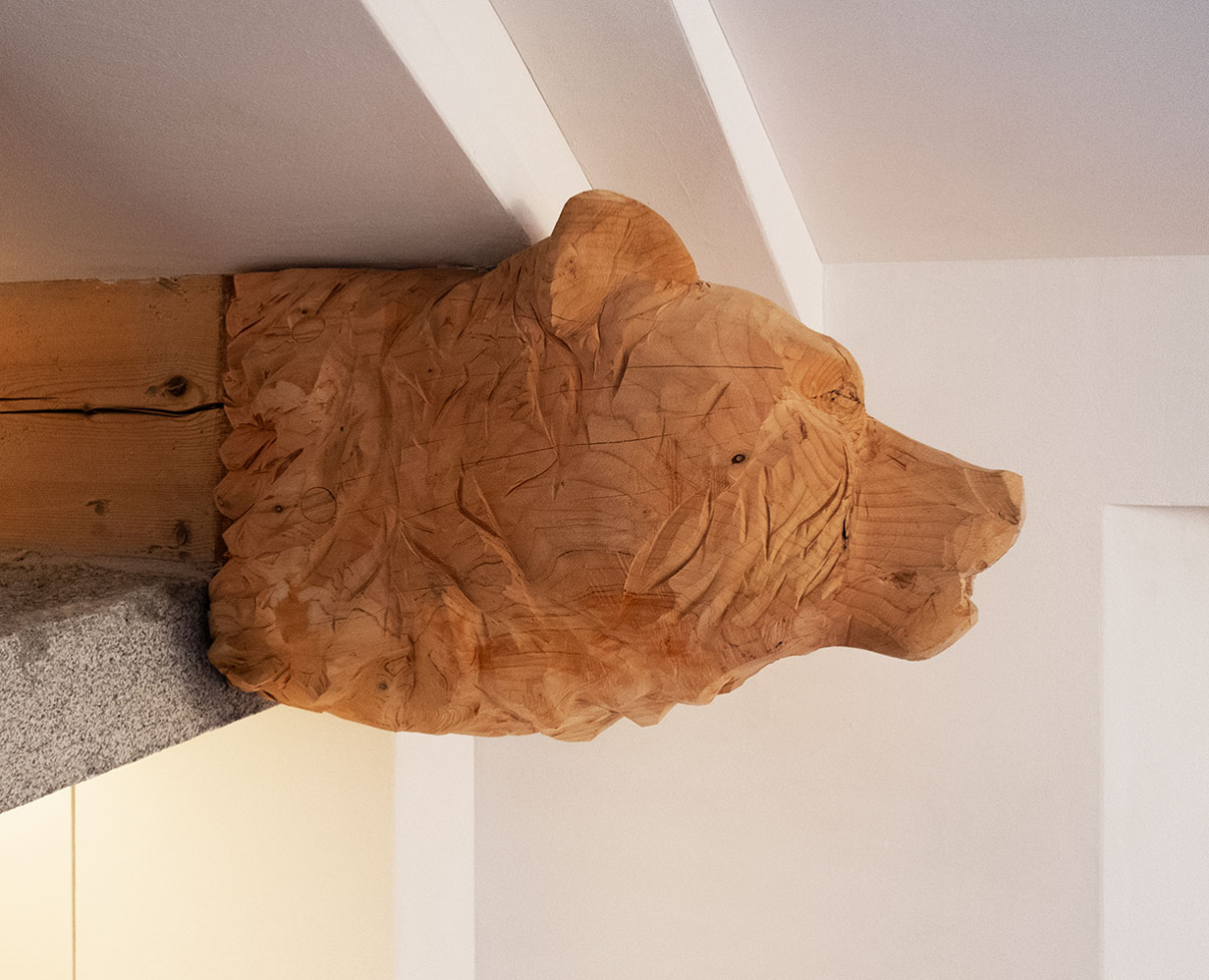 Bär von Severin Müller